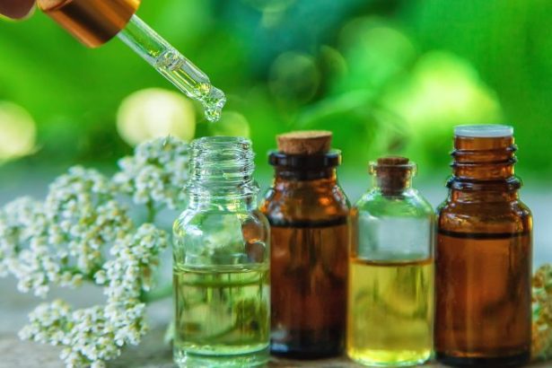 Aldilene Francisca de Moraes