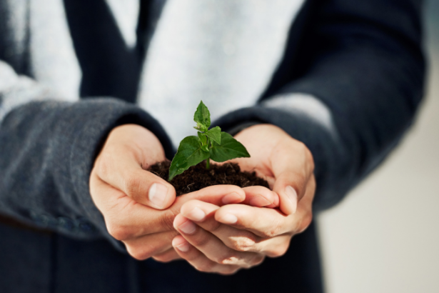 Bruno Garcia Redondo explica por que o licenciamento ambiental é essencial para garantir o equilíbrio entre desenvolvimento e sustentabilidade.
