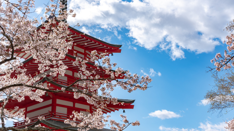 Descubra, com Alberto Toshio Murakami, por que viajar é uma experiência educativa que molda novas visões de mundo.