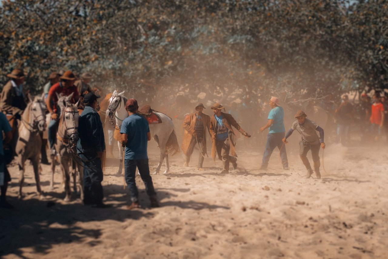 Cavaleiros participam de uma animada festa tradicional com cavalos em área rural do Brasil.